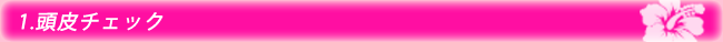 頭皮チェック