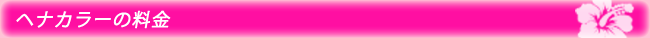 ヘナカラーの料金