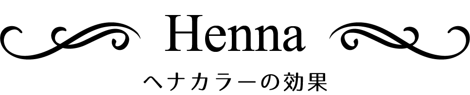 輝髪システムとは