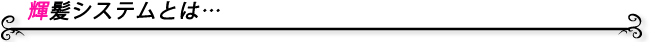 輝髪システムとは…